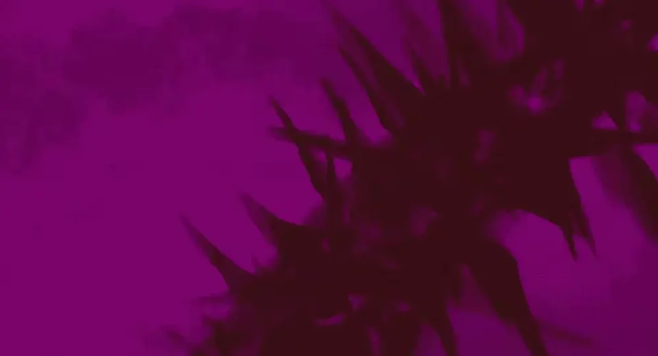 What Does It Mean for Us to Live in the Name of Jesus?