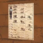 Who are the 144,000? The Final Call Before Christ’s Return